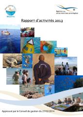 Couverture du rapport d'activités 2013.