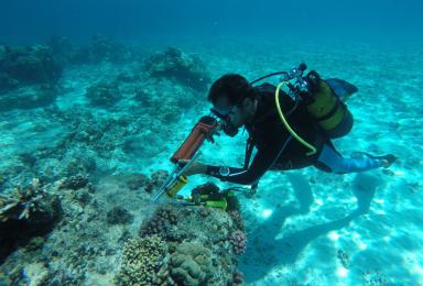 Pose de sondes de mesure de la température et de la salinité des eaux sur le récif corallien.