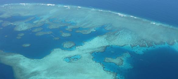Vue aérienne du récif de la barrière de corail.